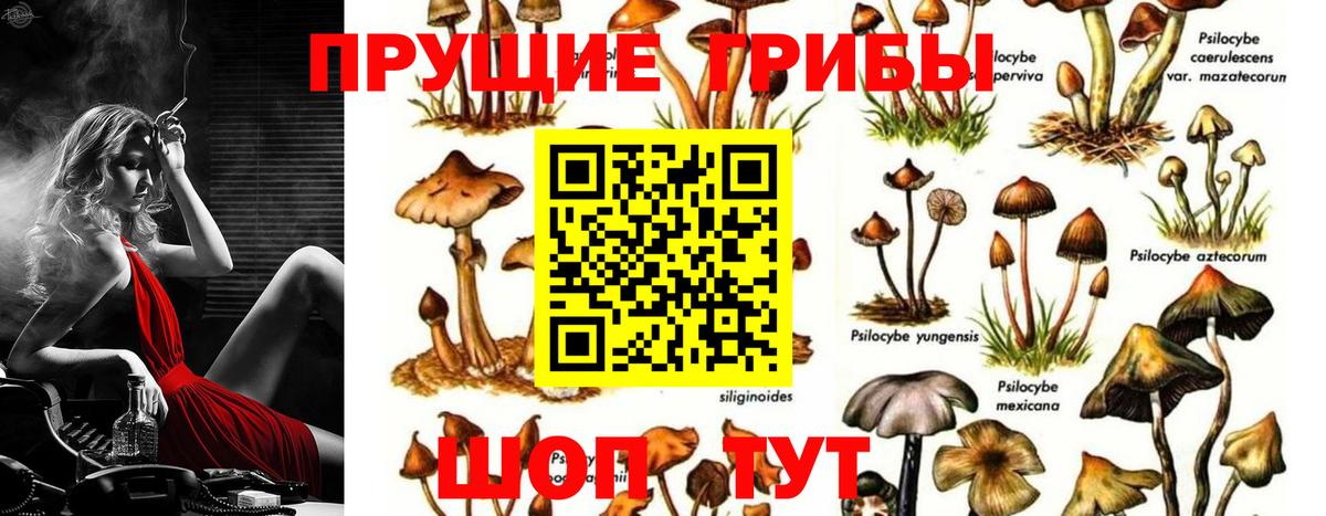 Галлюциногенные грибы прущие грибы Ханты-Мансийск